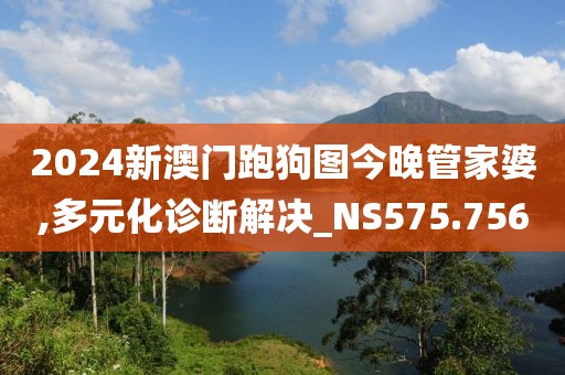 2024新澳門跑狗圖今晚管家婆,多元化診斷解決_NS575.756