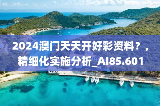 2024澳門天天開好彩資料？,精細(xì)化實(shí)施分析_AI85.601