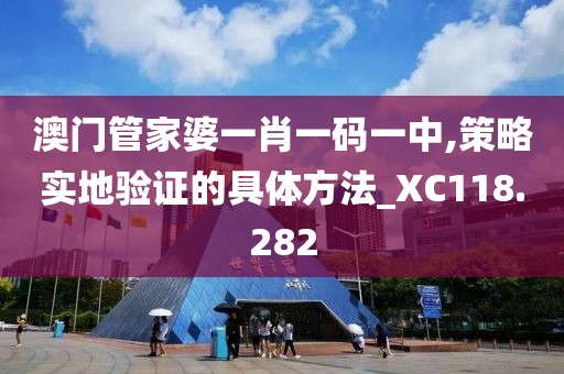 澳門管家婆一肖一碼一中,策略實(shí)地驗(yàn)證的具體方法_XC118.282