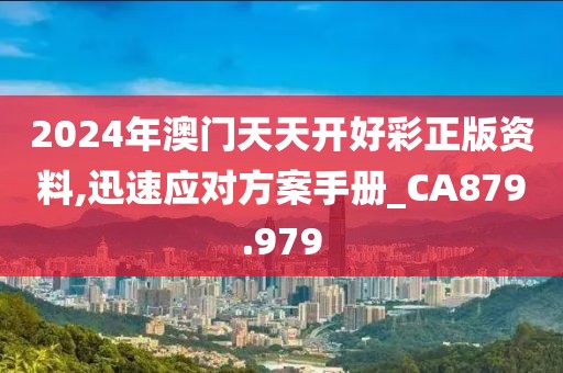 2024年澳門天天開(kāi)好彩正版資料,迅速應(yīng)對(duì)方案手冊(cè)_CA879.979