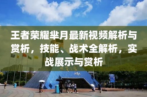 王者榮耀羋月最新視頻解析與賞析，技能、戰(zhàn)術(shù)全解析，實(shí)戰(zhàn)展示與賞析