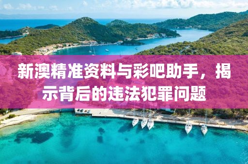 新澳精準資料與彩吧助手，揭示背后的違法犯罪問題