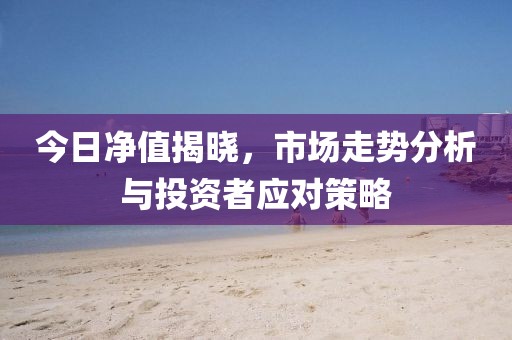 今日凈值揭曉，市場走勢分析與投資者應(yīng)對策略