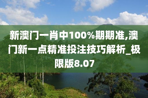 新澳門(mén)一肖中100%期期準(zhǔn),澳門(mén)新一點(diǎn)精準(zhǔn)投注技巧解析_極限版8.07