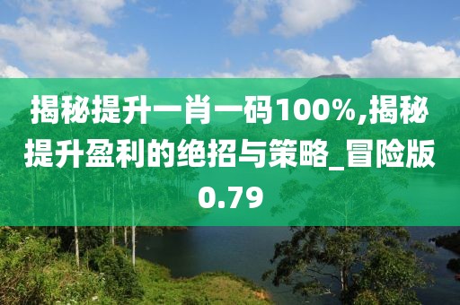 揭秘提升一肖一碼100%,揭秘提升盈利的絕招與策略_冒險(xiǎn)版0.79