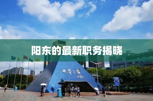 陽東的最新職務(wù)揭曉