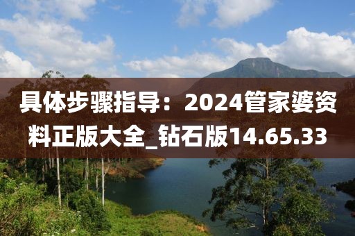 具體步驟指導(dǎo)：2024管家婆資料正版大全_鉆石版14.65.33