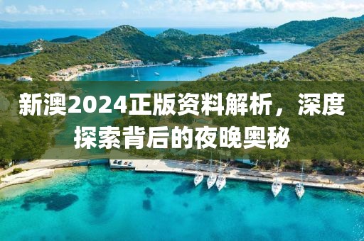 新澳2024正版資料解析，深度探索背后的夜晚奧秘