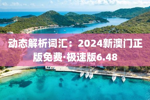 動態(tài)解析詞匯：2024新澳門正版免費·極速版6.48