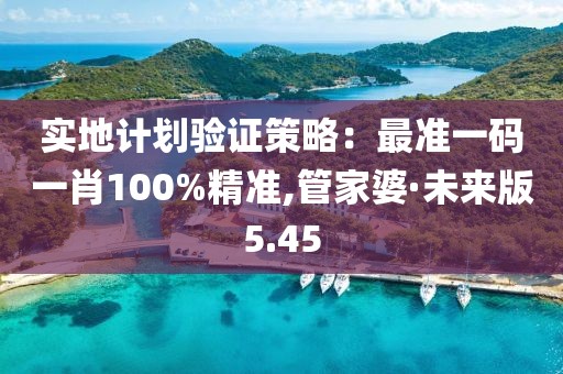 實地計劃驗證策略：最準一碼一肖100%精準,管家婆·未來版5.45