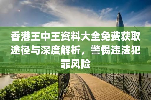 香港王中王資料大全免費獲取途徑與深度解析，警惕違法犯罪風險