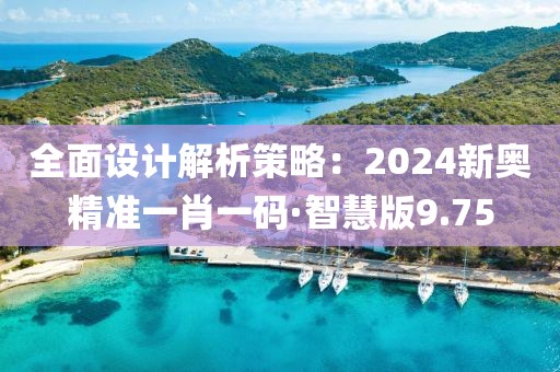 全面設(shè)計解析策略：2024新奧精準(zhǔn)一肖一碼·智慧版9.75