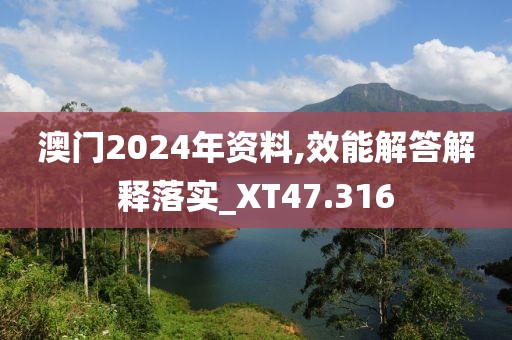 澳門2024年資料,效能解答解釋落實_XT47.316