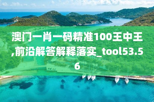 澳門一肖一碼精準(zhǔn)100王中王,前沿解答解釋落實(shí)_tool53.56