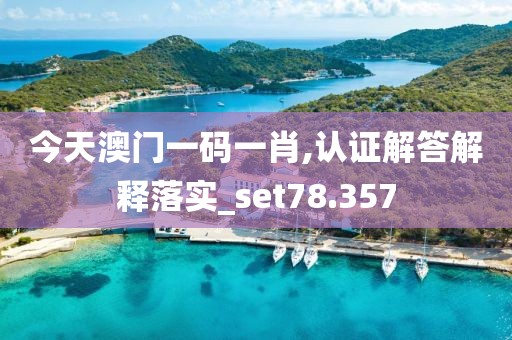 今天澳門一碼一肖,認證解答解釋落實_set78.357