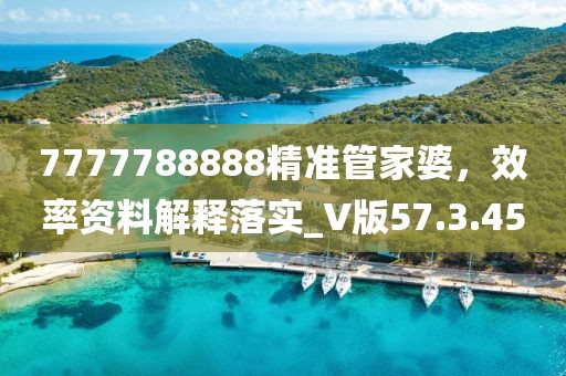 7777788888精準(zhǔn)管家婆，效率資料解釋落實(shí)_V版57.3.45