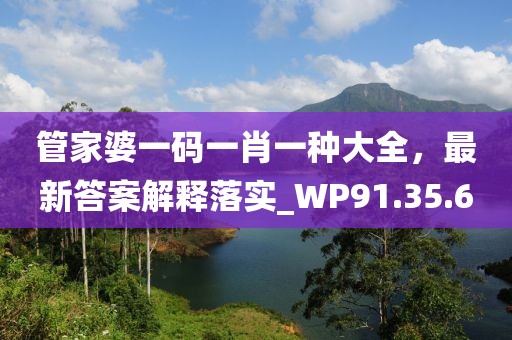 管家婆一碼一肖一種大全，最新答案解釋落實(shí)_WP91.35.6