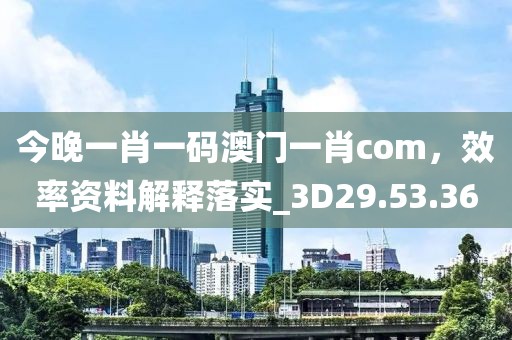 今晚一肖一碼澳門一肖com，效率資料解釋落實(shí)_3D29.53.36