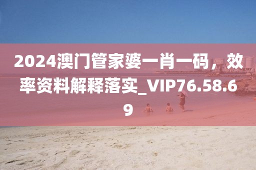 2024澳門管家婆一肖一碼，效率資料解釋落實_VIP76.58.69