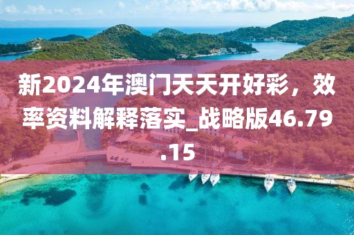 新2024年澳門(mén)天天開(kāi)好彩，效率資料解釋落實(shí)_戰(zhàn)略版46.79.15