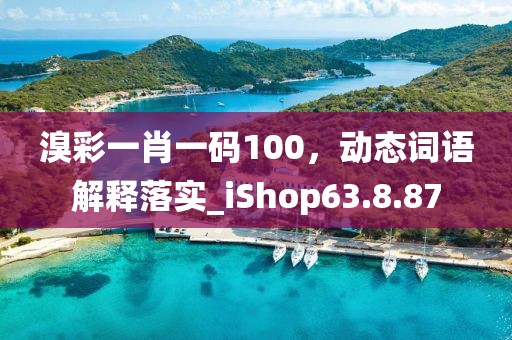 溴彩一肖一碼100，動(dòng)態(tài)詞語(yǔ)解釋落實(shí)_iShop63.8.87