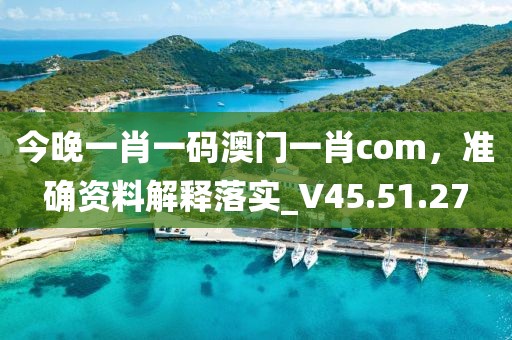 今晚一肖一碼澳門一肖com，準(zhǔn)確資料解釋落實(shí)_V45.51.27