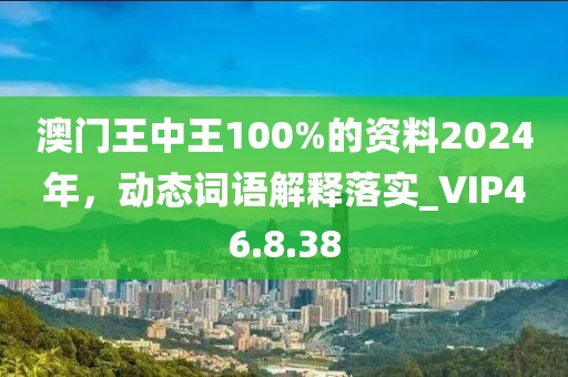 澳門王中王100%的資料2024年，動態(tài)詞語解釋落實_VIP46.8.38