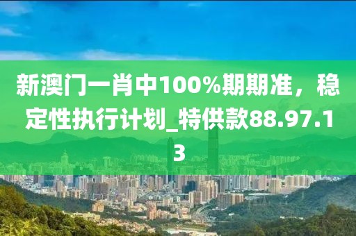 新澳門一肖中100%期期準(zhǔn)，穩(wěn)定性執(zhí)行計(jì)劃_特供款88.97.13