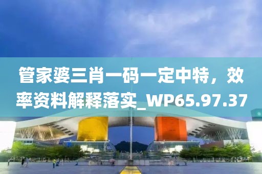 管家婆三肖一碼一定中特，效率資料解釋落實_WP65.97.37