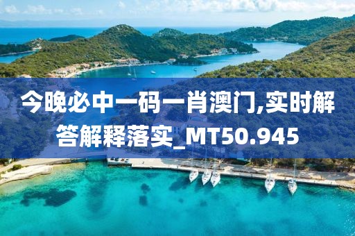 今晚必中一碼一肖澳門,實(shí)時(shí)解答解釋落實(shí)_MT50.945