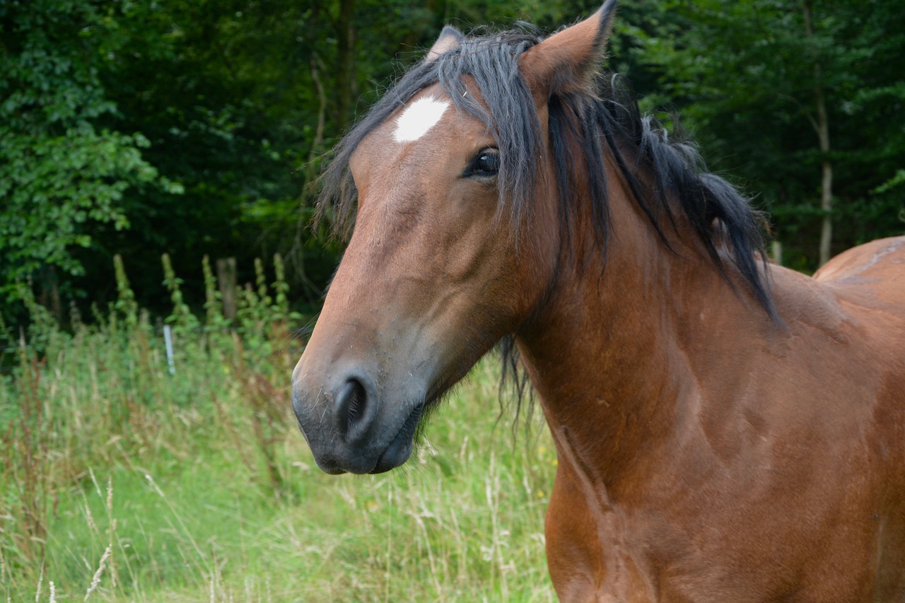 2024澳門特馬今晚開獎(jiǎng)一,2024澳門特馬今晚開獎(jiǎng)最新消息_先鋒版5.04