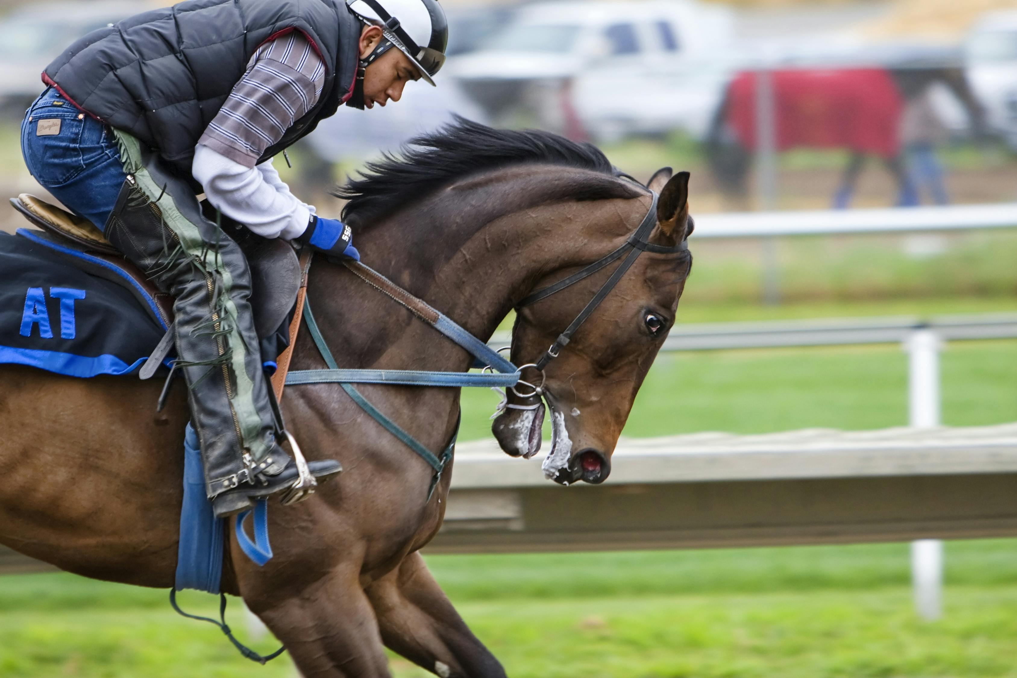 2024澳門特馬今晚開獎240期,2024澳門今晚開獎第240期預測_精簡版1.21