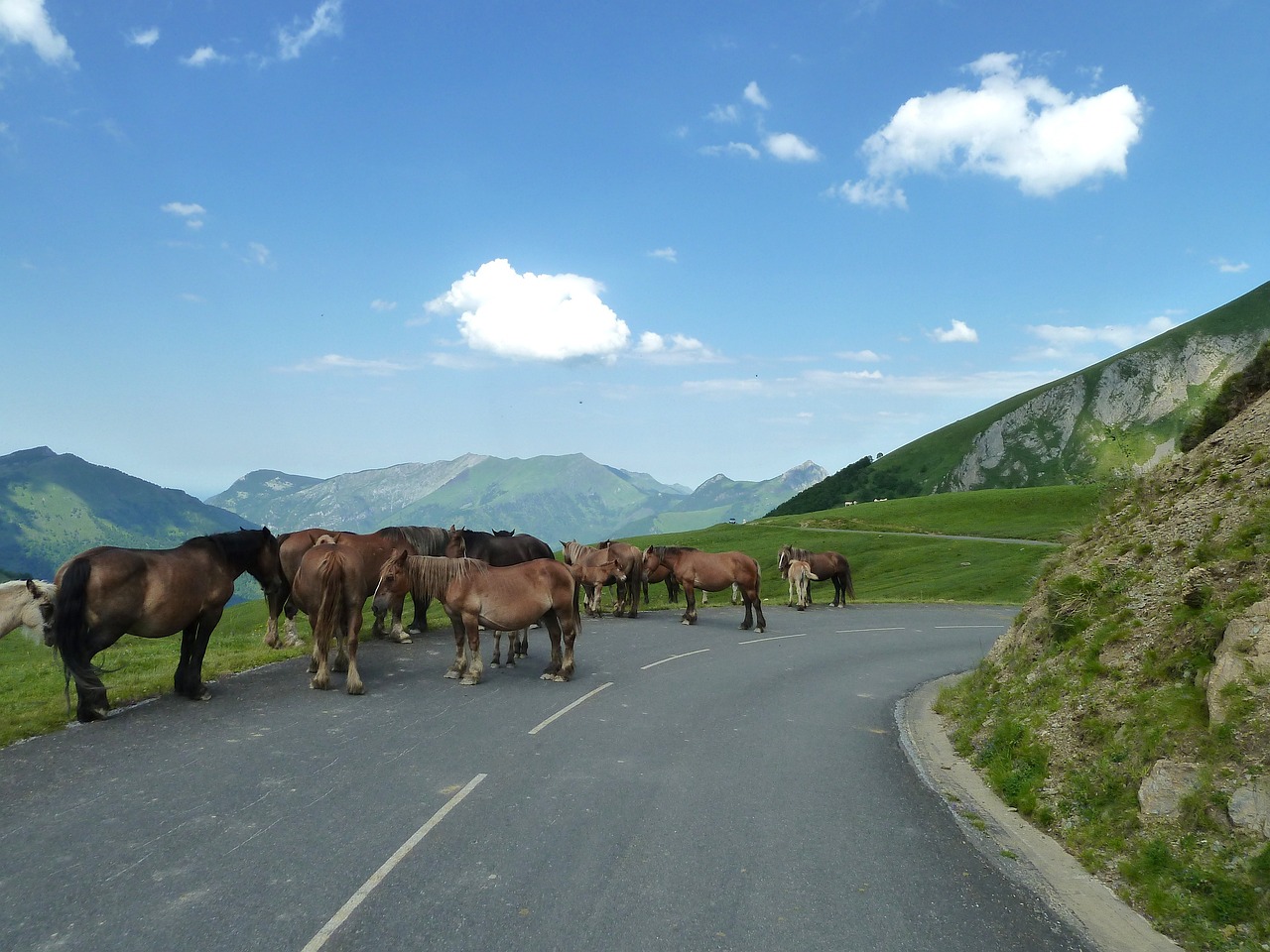 渝北區(qū)古路鎮(zhèn)最新規(guī)劃,渝北區(qū)古路鎮(zhèn)最新規(guī)劃