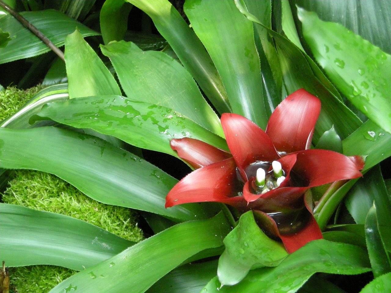 昆山花橋規(guī)劃更新動(dòng)態(tài)，最新消息揭秘