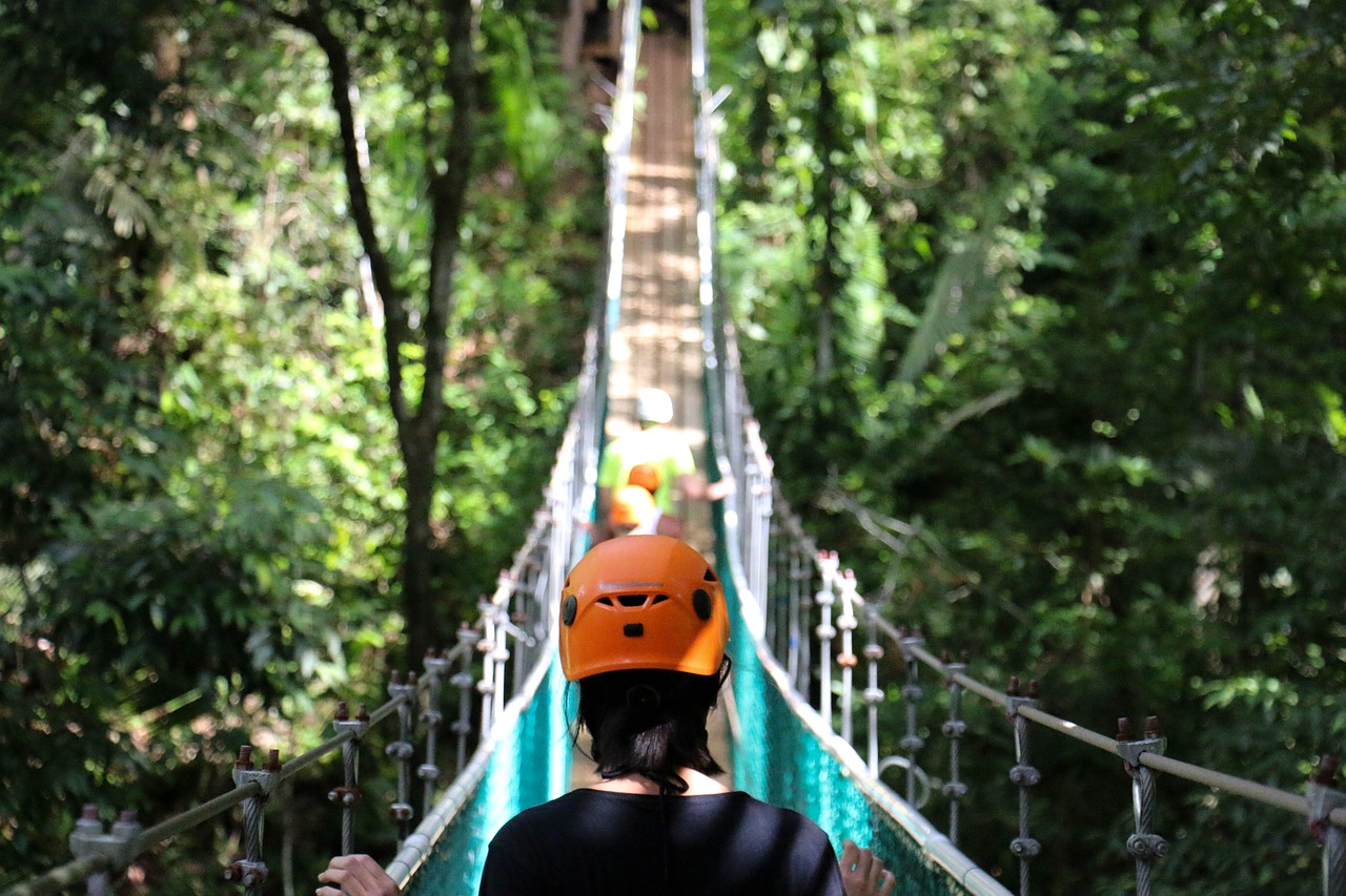 最新暮色森林，自然探險(xiǎn)與奇幻之旅的冒險(xiǎn)之旅