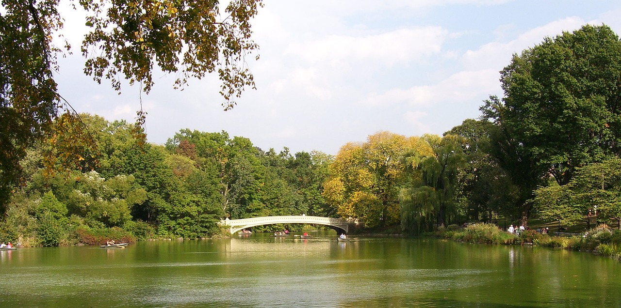 江夏中央公園最新動態(tài)更新，最新進展揭秘