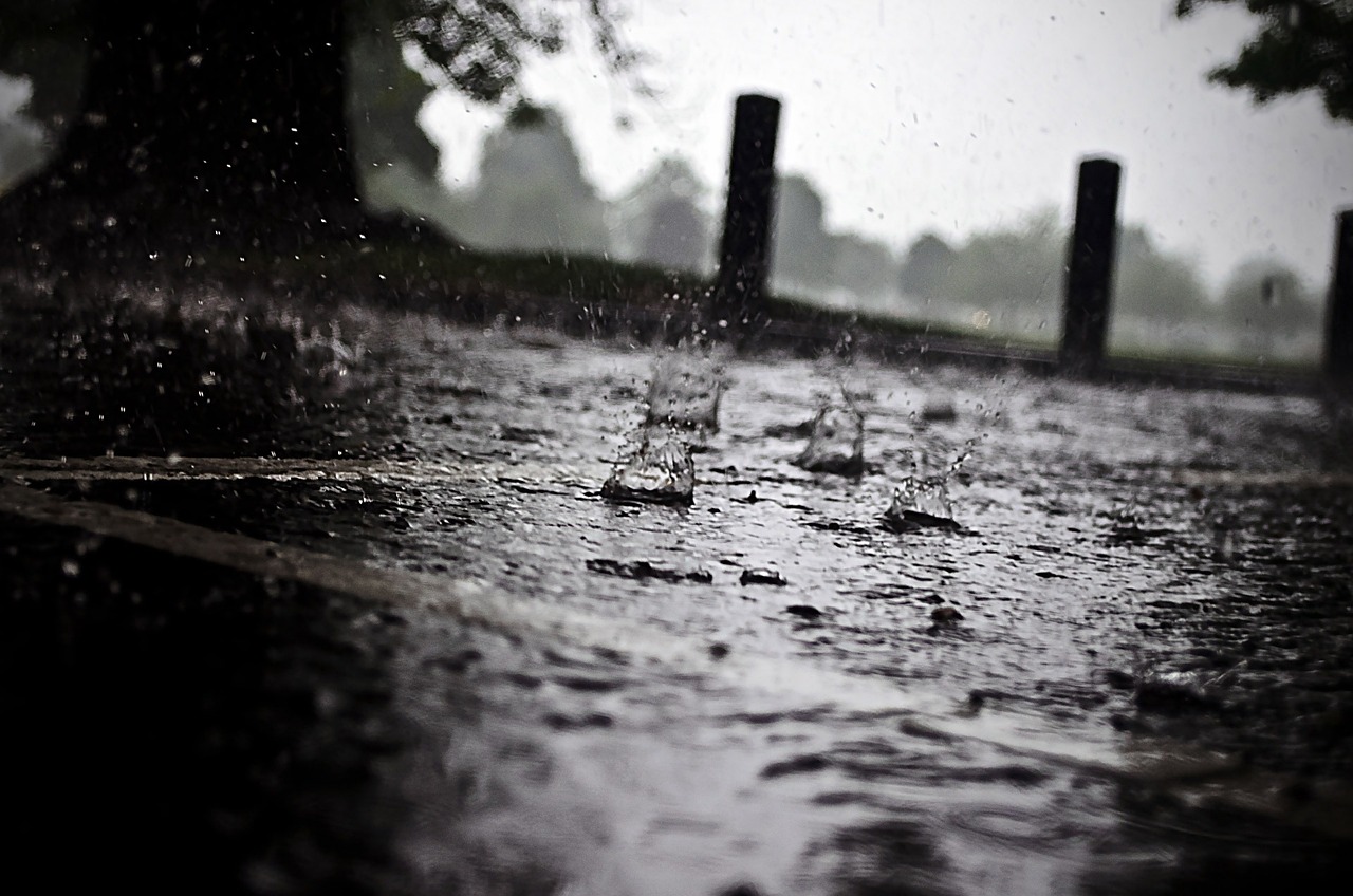 沈陽(yáng)大雨最新視頻觀察報(bào)告，暴雨實(shí)況與影響分析