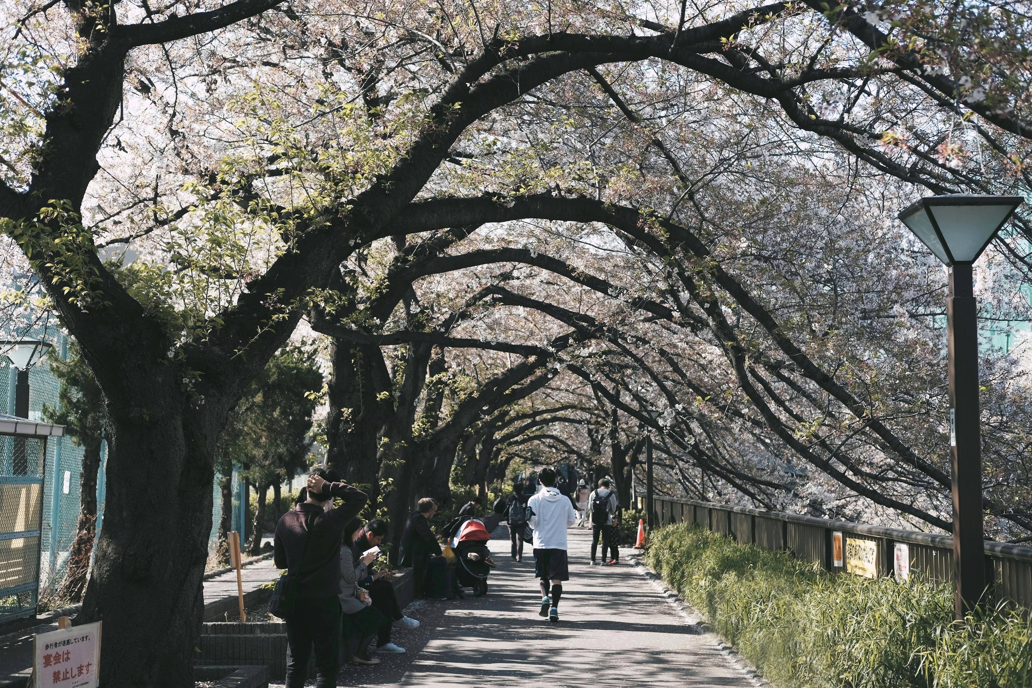 烏鎮(zhèn)民宿價格概覽