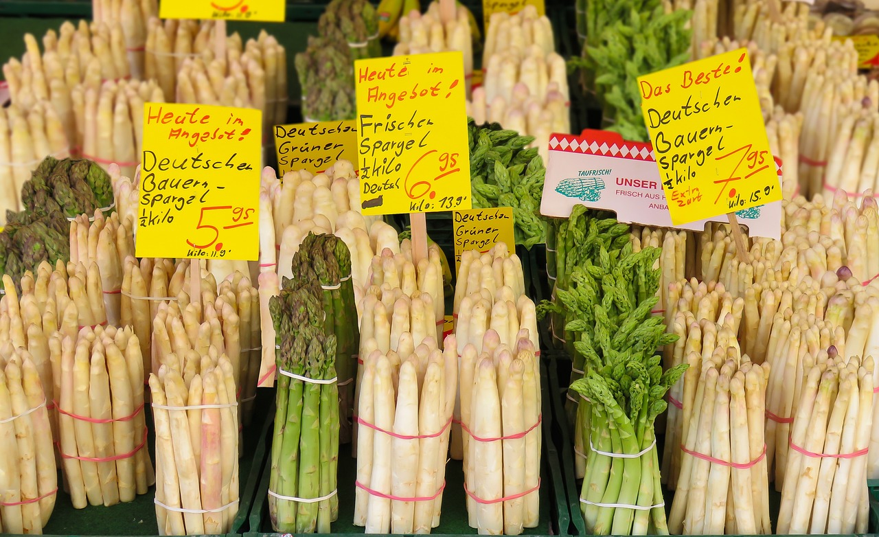 山東今日小麥價(jià)格更新